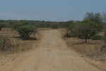 Grusvej i Kruger National Park
